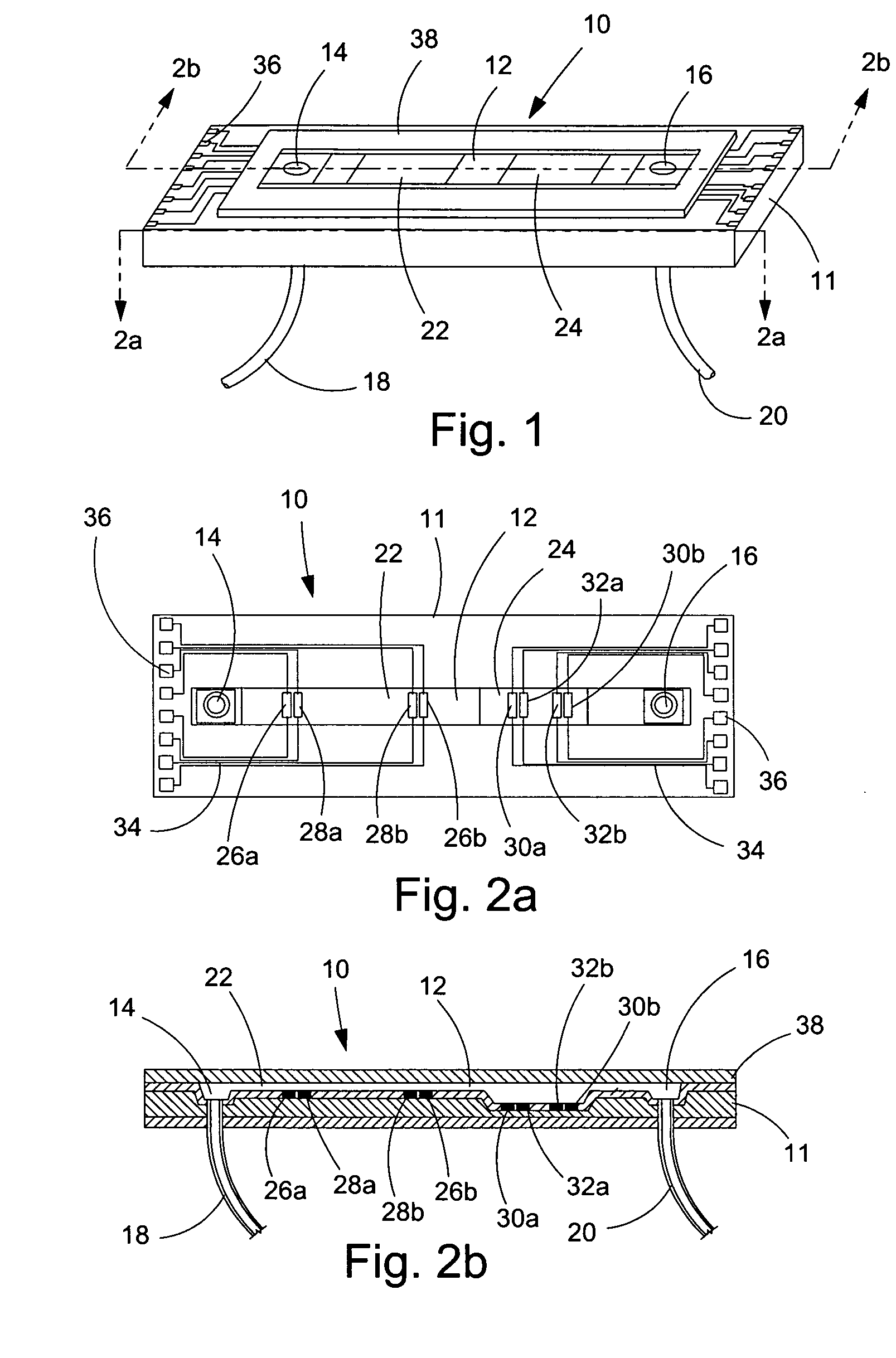 Method and apparatus for measuring changes in cell volume