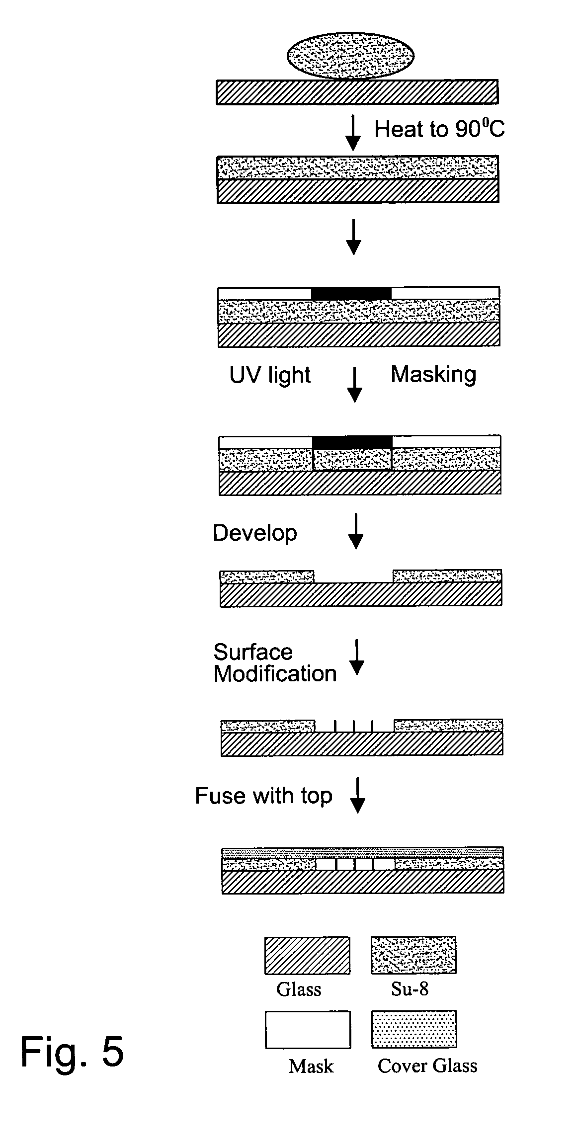 Method and apparatus for measuring changes in cell volume