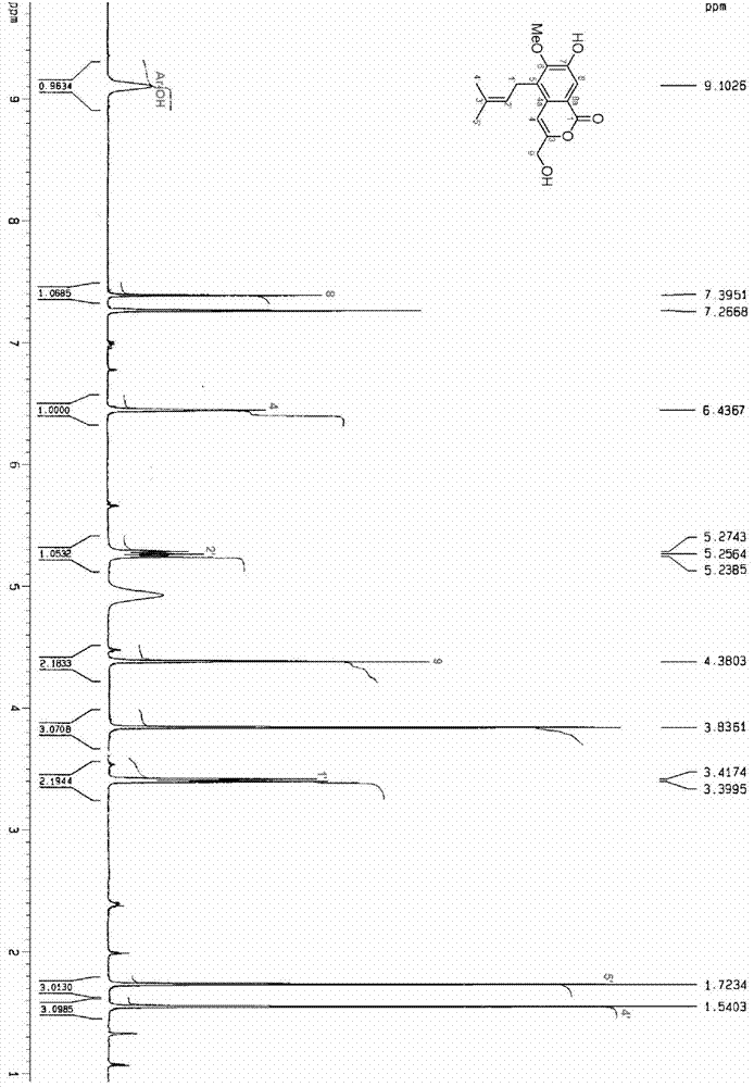Isocoumarin compound and preparation method and application thereof