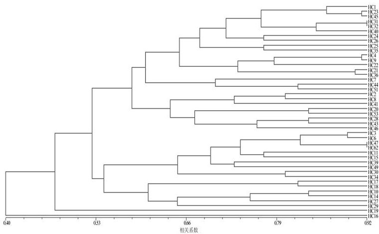 Kenaf drought response gene est-ssr primer and kit