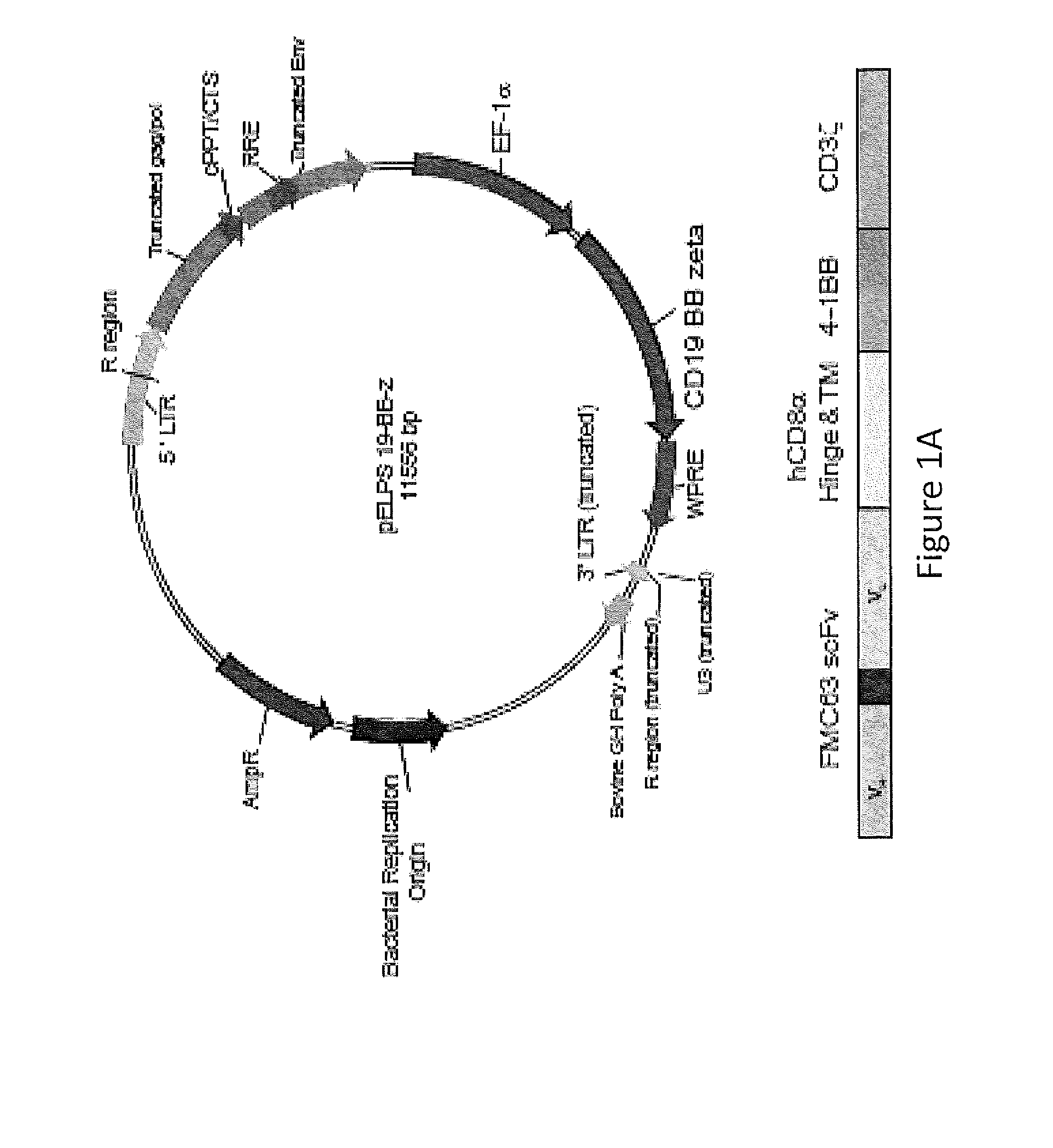 Compositions for Treatment of Cancer
