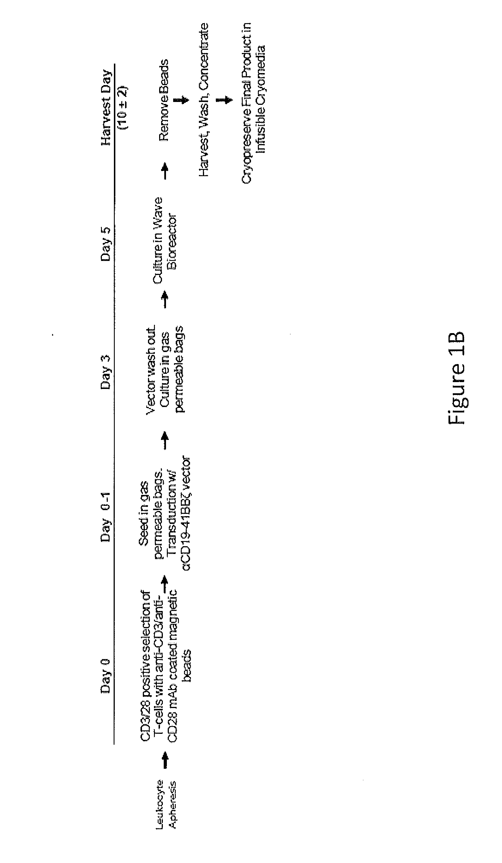 Compositions for Treatment of Cancer