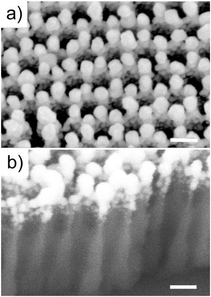 Silver nanocolumn array vertically at the hole of porous alumina template and its preparation method and application