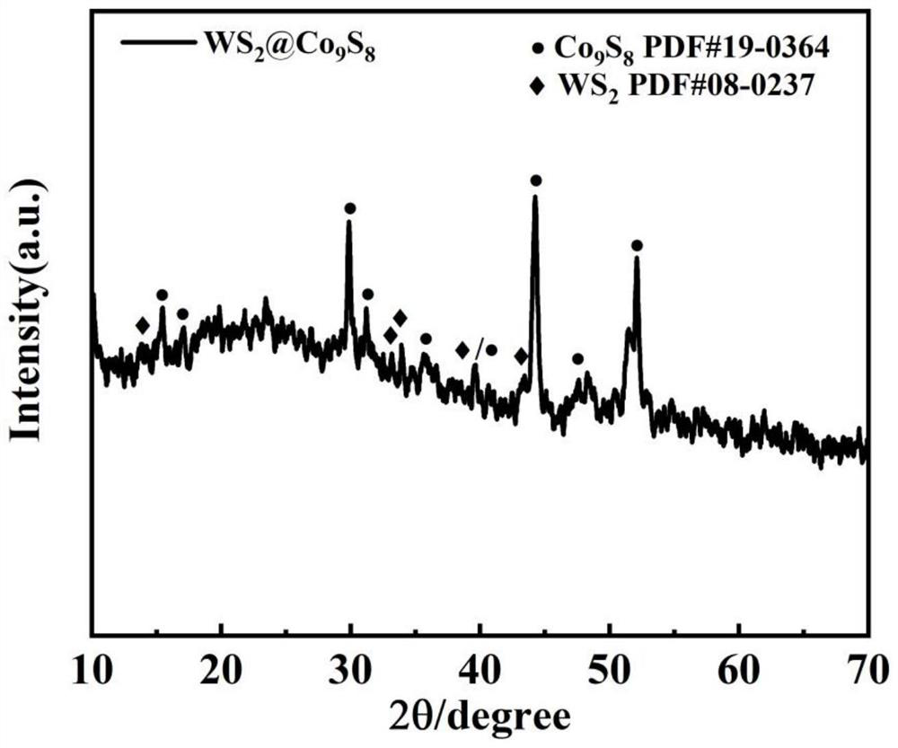 Electrocatalytic bifunctional material with few layers of tungsten disulfide anchored on surface of cobalt-nitrogen-doped carbon-based polyhedron and preparation method of electrocatalytic bifunctional material