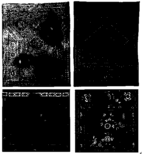 Method for predicting personalized preference of user through eye movement data