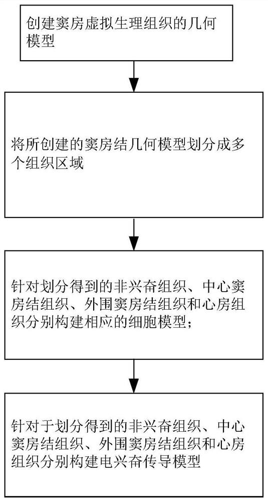 Construction method, storage medium and computing equipment of sinoatrial node virtual physiological tissue