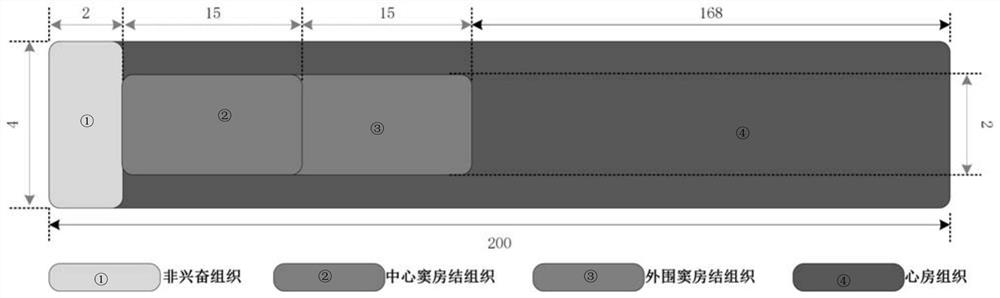 Construction method, storage medium and computing equipment of sinoatrial node virtual physiological tissue