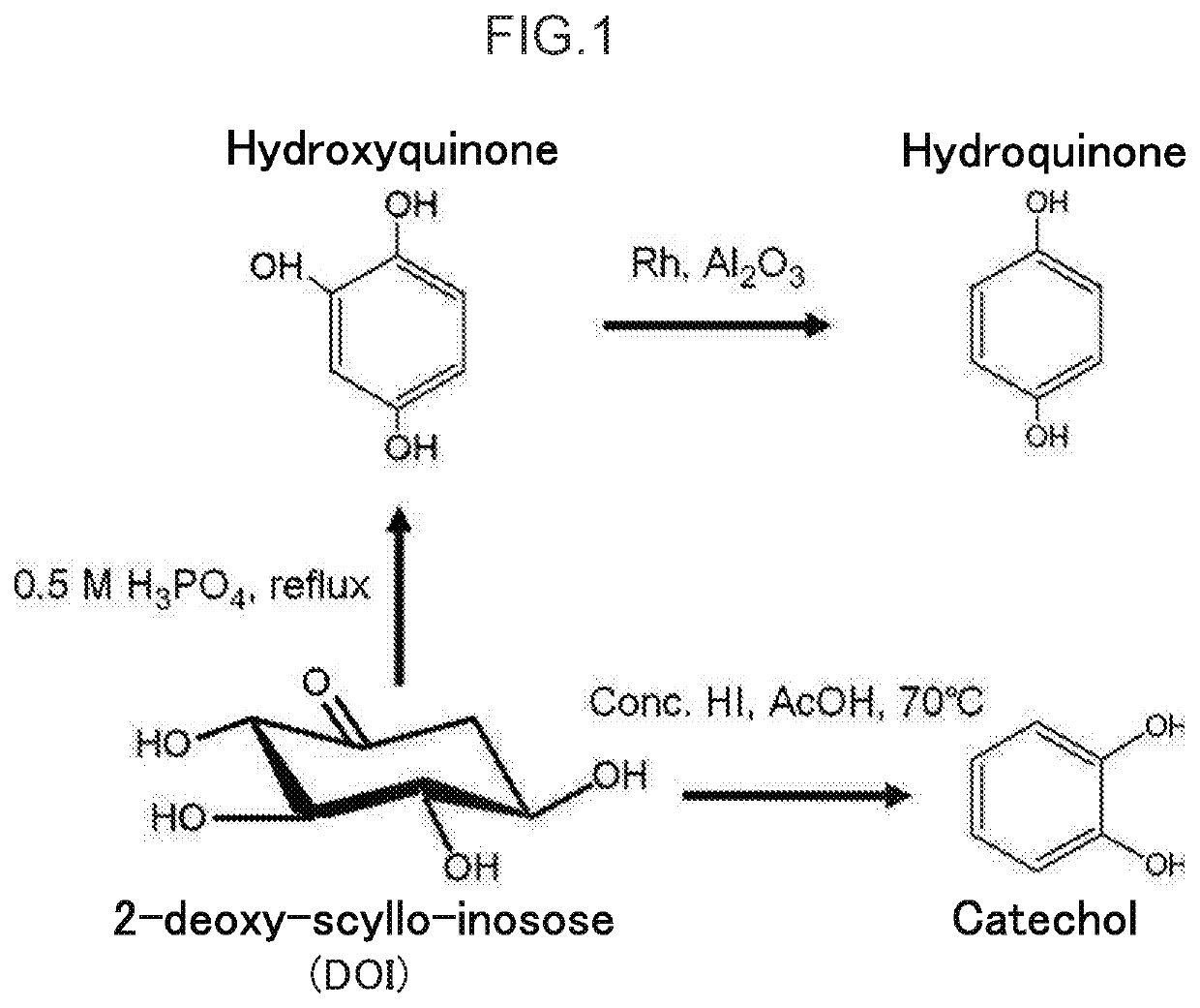 Mutant type 2-deoxy-scyllo-inosose synthase