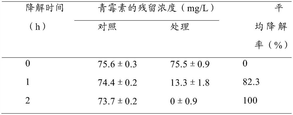 A kind of pseudopallidum strain, cell fraction and composition capable of degrading penicillin v potassium