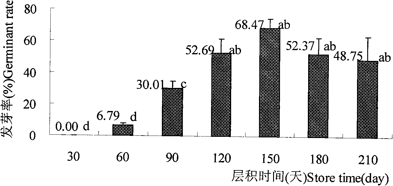 Method for breaking Thesium chinense seed dormancy for promoting germination