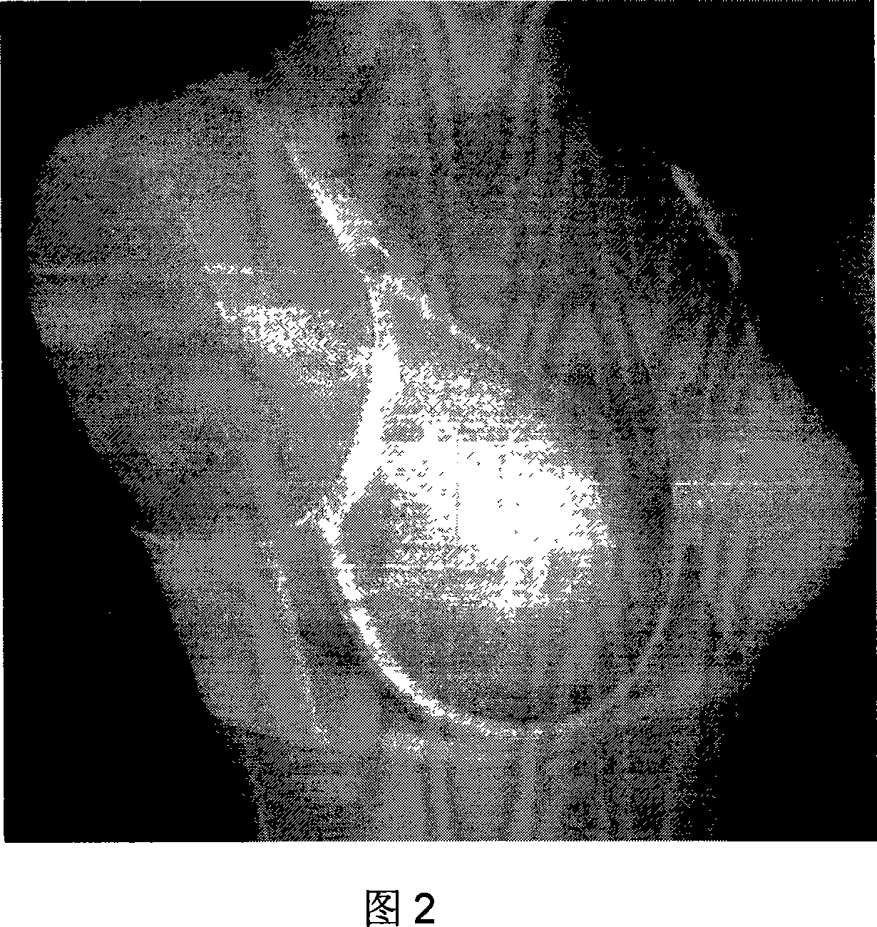 Method for colligated judging of the fitness of the bra on the basis of layer analysis