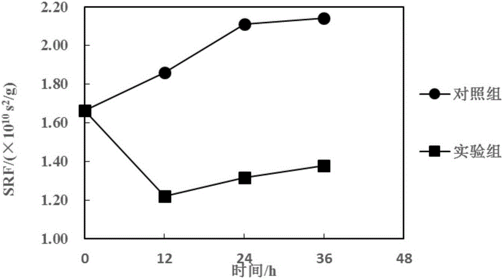 Phagocytosing type bacterium and application thereof in reducing sludge