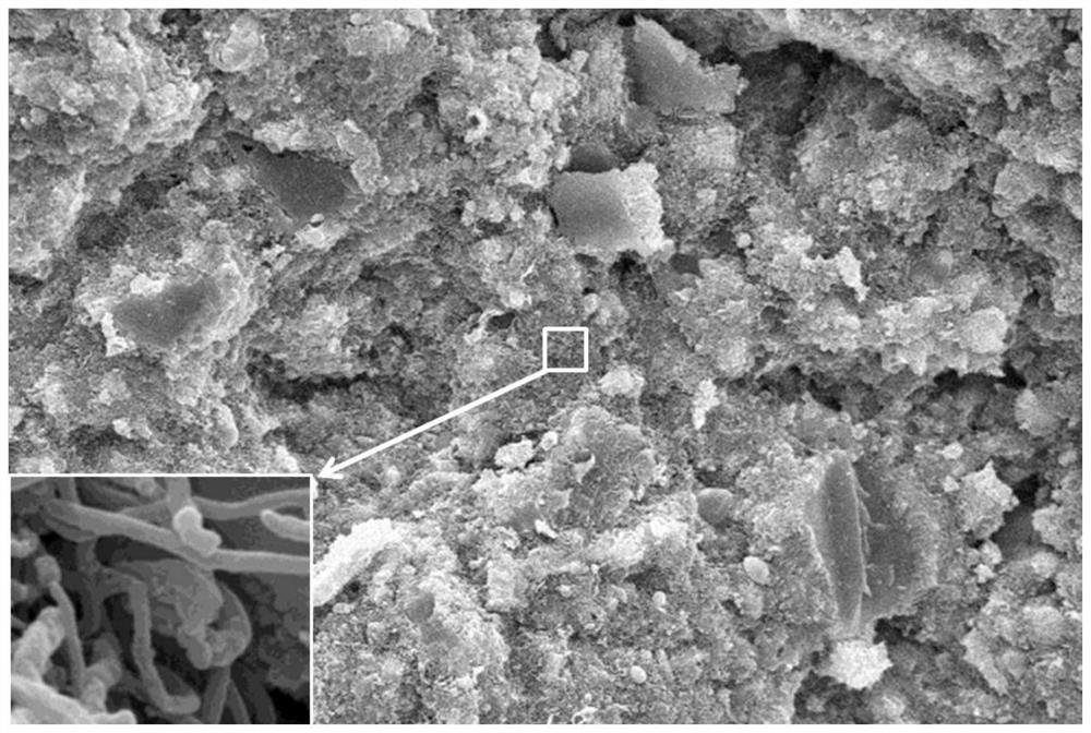 An in-situ synthesized carbon nanotube/hafnium boride nanocomposite material and its preparation method