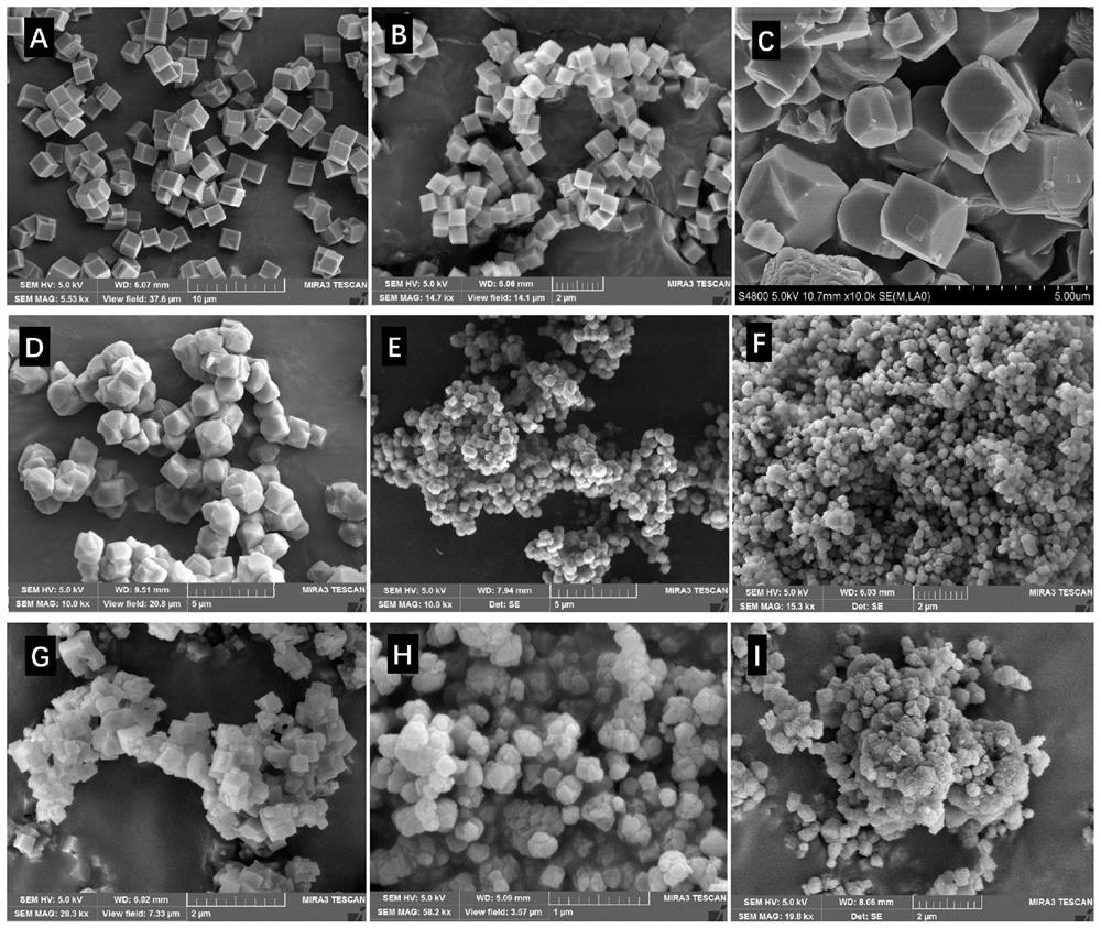 SSZ-13 molecular sieve, method for regulating crystal morphology of SSZ-13 molecular sieve and application of SSZ-13 molecular sieve