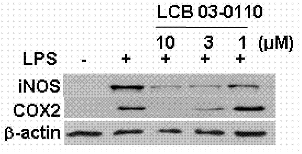 Anti-inflammatory compound having inhibitory activity against multiple tyrosine kinases, and pharmaceutical composition containing same