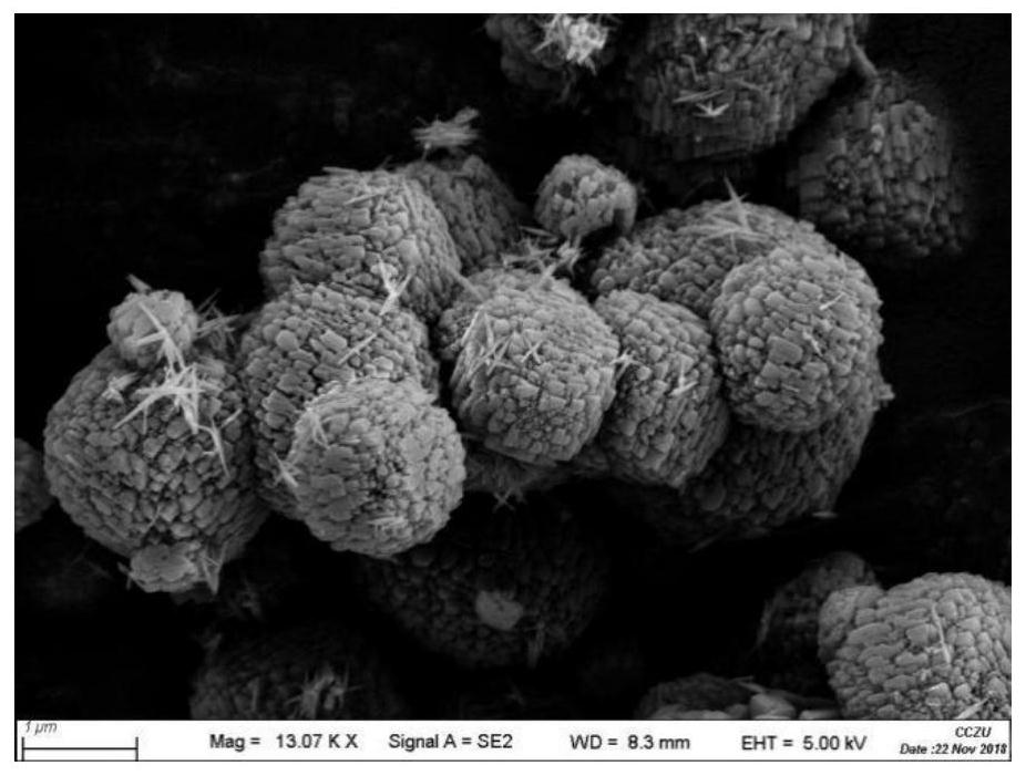 Preparation method and application of porous zeolite adsorbent