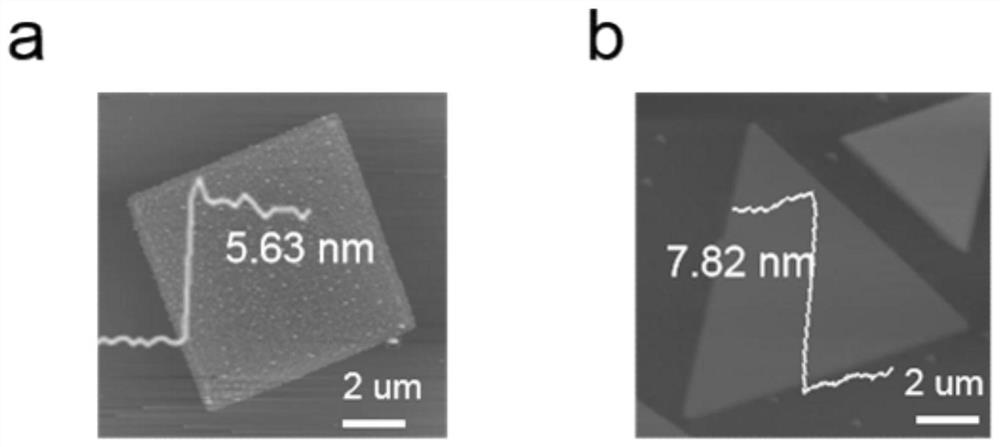 Alpha-MnSe nanosheet and preparation method and application thereof