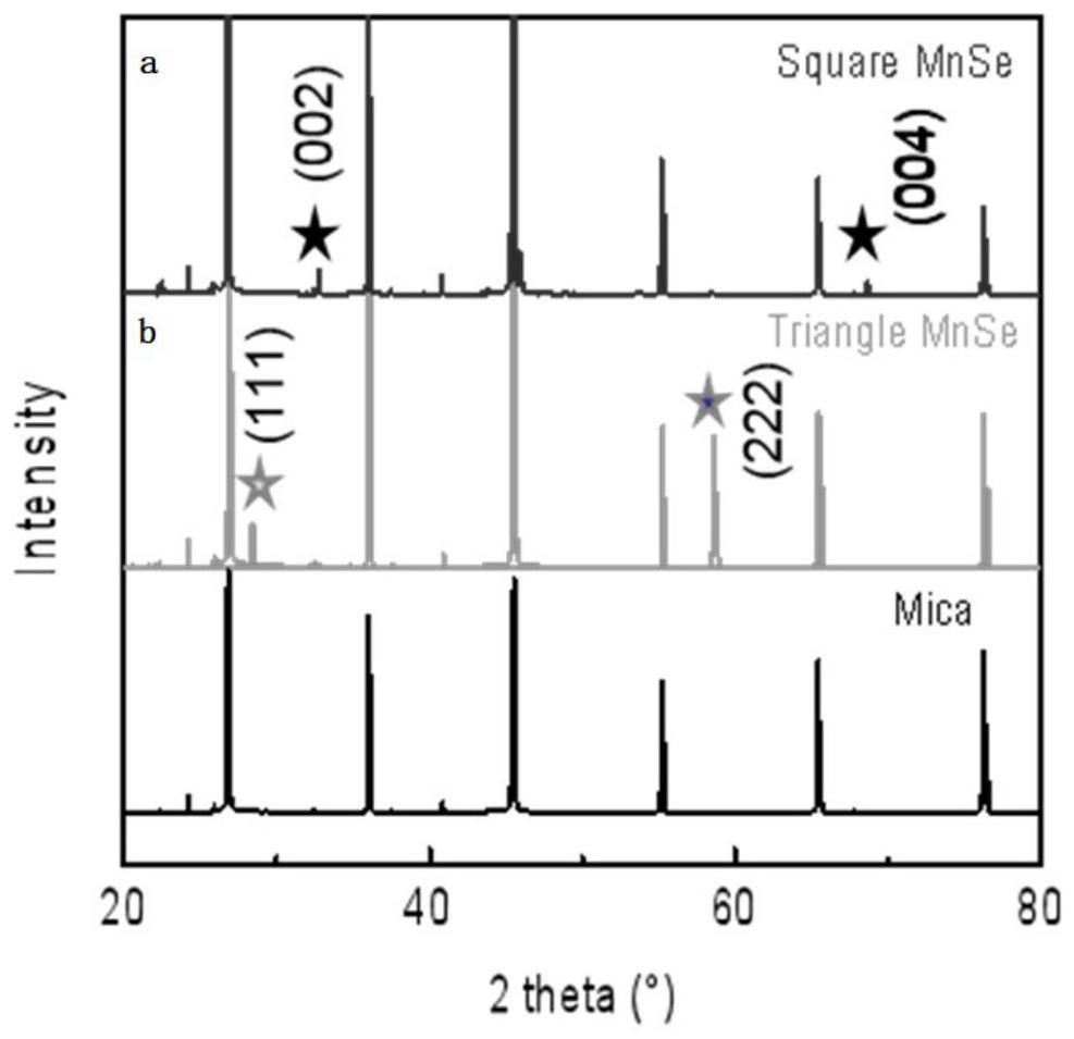 Alpha-MnSe nanosheet and preparation method and application thereof