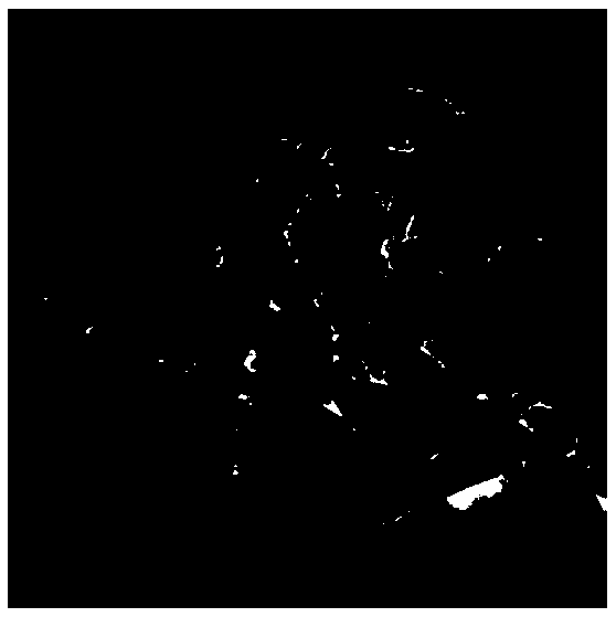 Preparation method for hydroxylapatite with controllable grain size