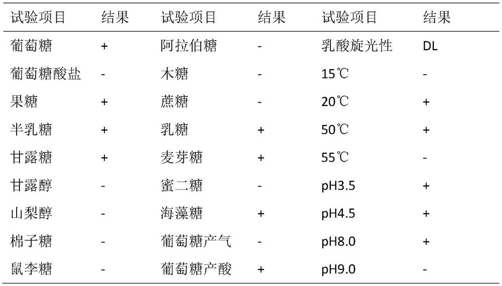 A kind of Lactobacillus helveticus bacterial strain and application thereof