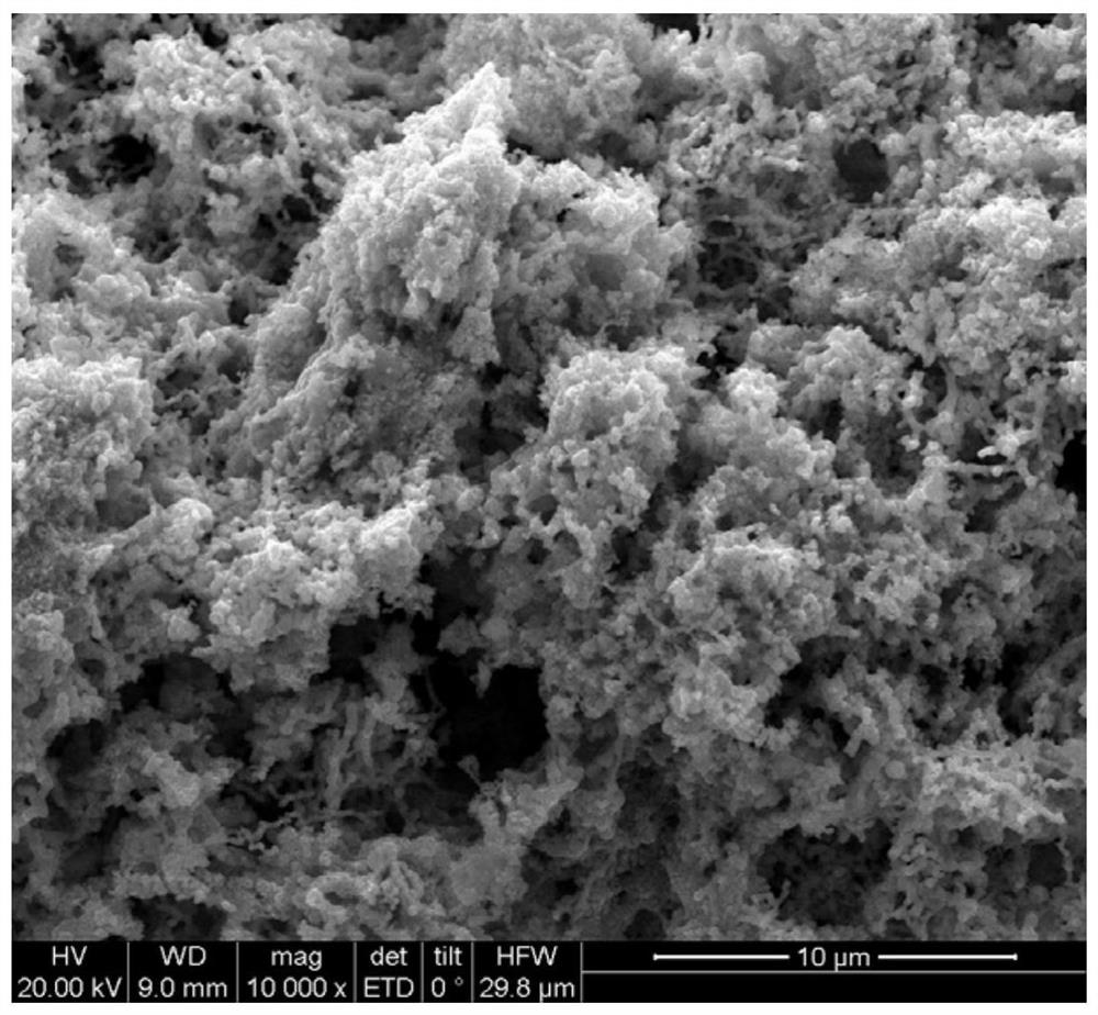 Modified iron-copper bimetallic nanoparticles and preparation method thereof
