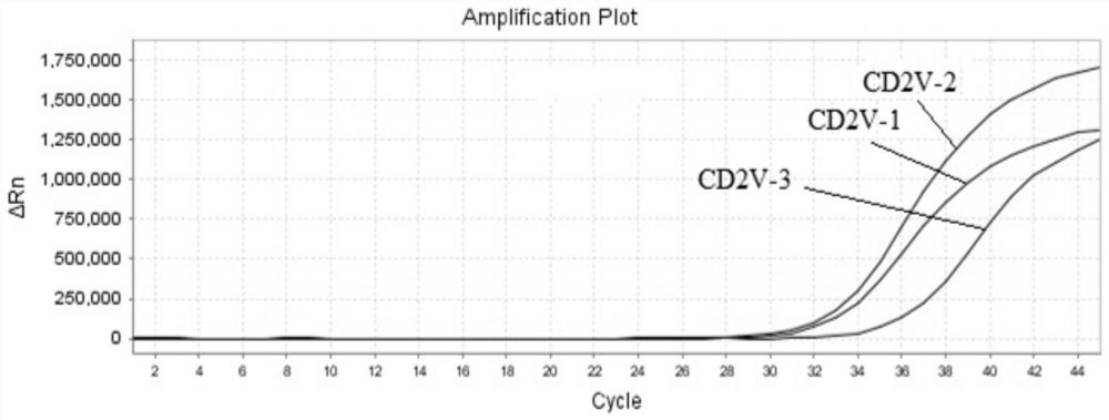 Primer probe set, kit and method for real-time fluorescent PCR detection of African swine fever virus cd2v gene