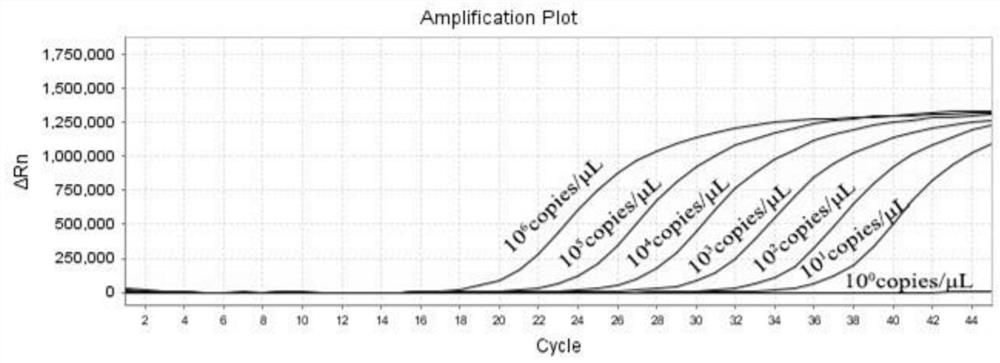 Primer probe set, kit and method for real-time fluorescent PCR detection of African swine fever virus cd2v gene