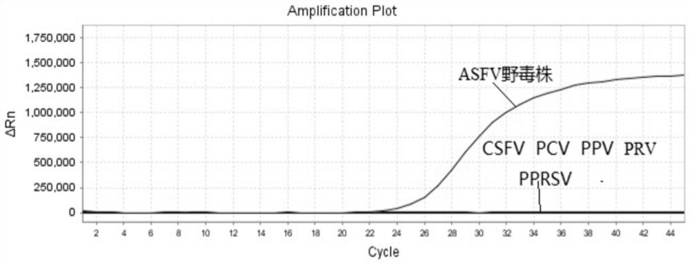 Primer probe set, kit and method for real-time fluorescent PCR detection of African swine fever virus cd2v gene