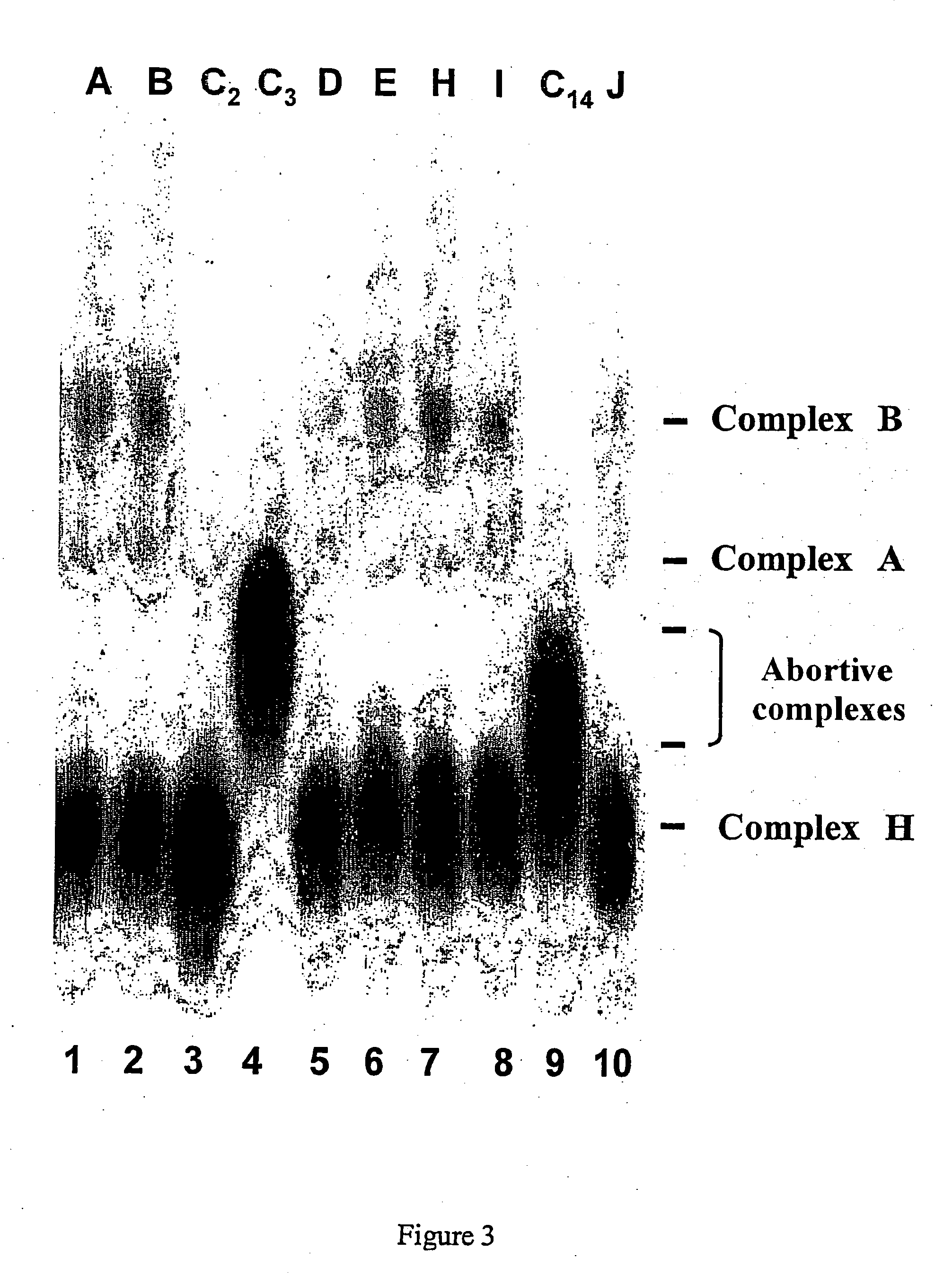 Use of indole-derived compounds for the preparation of a medicament that can be used to treat diseases related to the splicing process