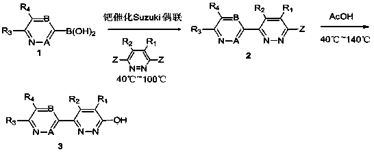 Pyridazinone derivatives and preparation method and application thereof