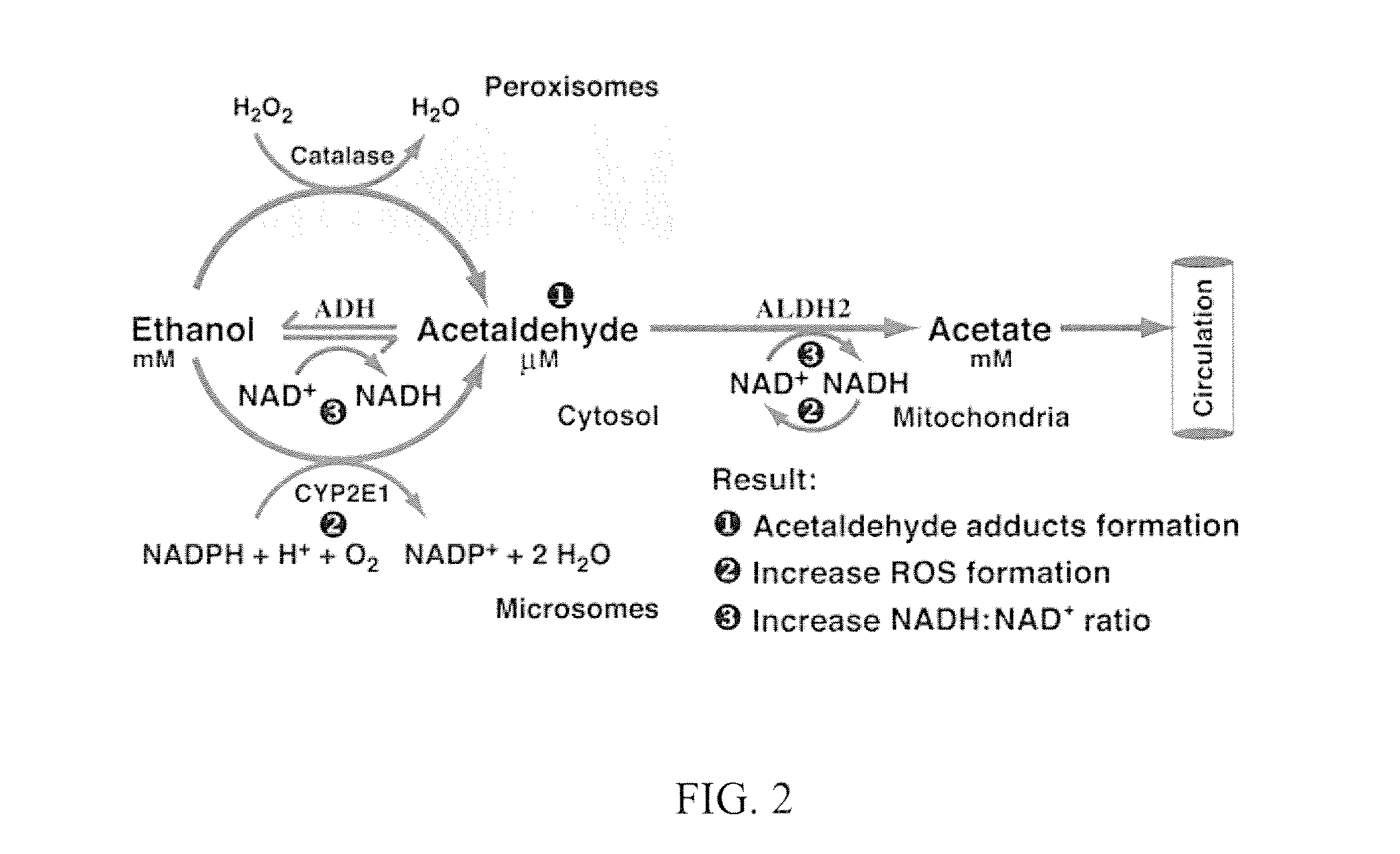 Methods and compositions for treating diseases