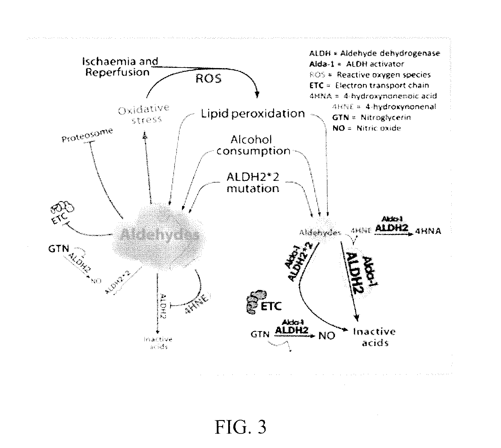 Methods and compositions for treating diseases