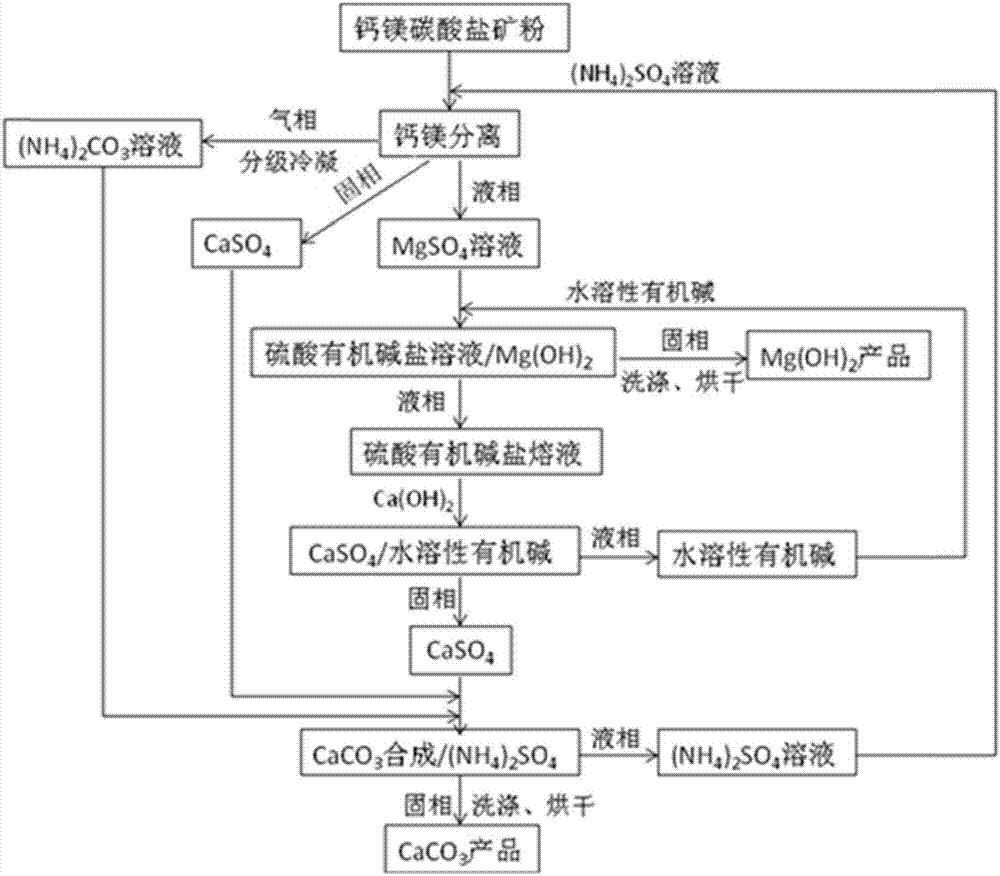 Method for preparing magnesium hydroxide from calcium-magnesium-carbonate-containing ore