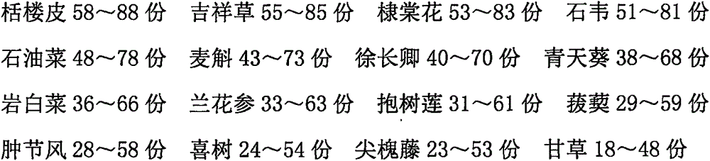 Traditional Chinese medicine preparation for treating lung cancer and preparation method thereof