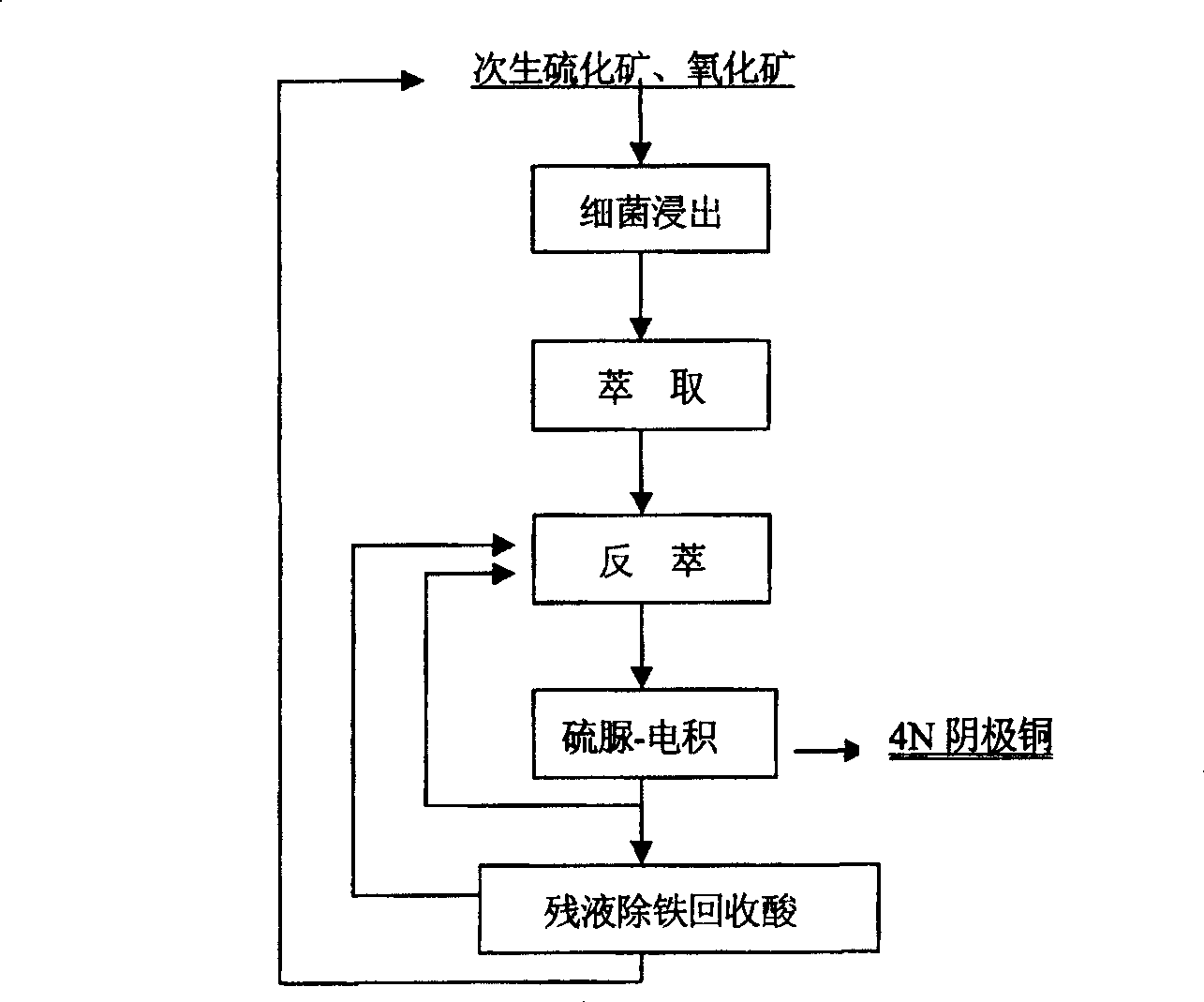 Method of preparing high purity copper by bacteria of primary leaching sulfide ore