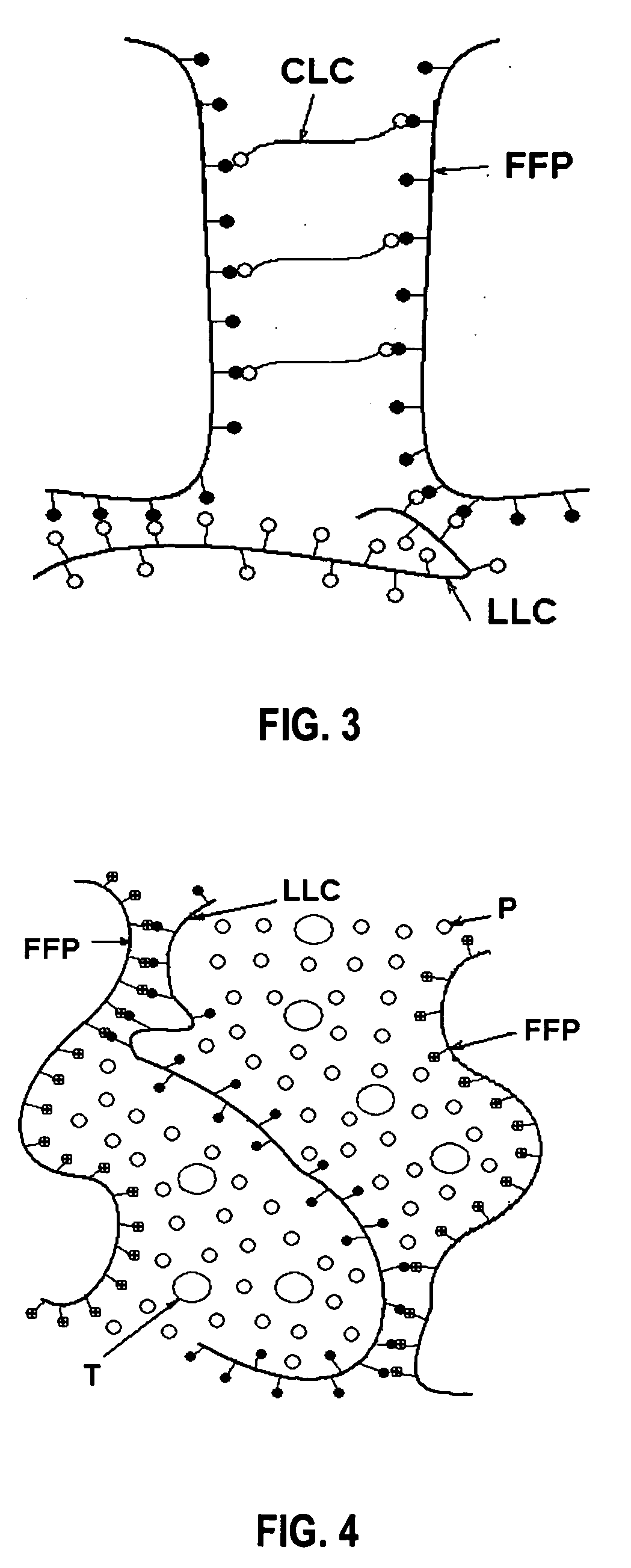 Water-absorbent adhesive compositions and associated methods of manufacture and use