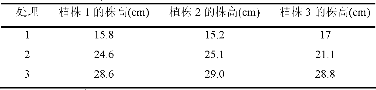 Compound fertilizer