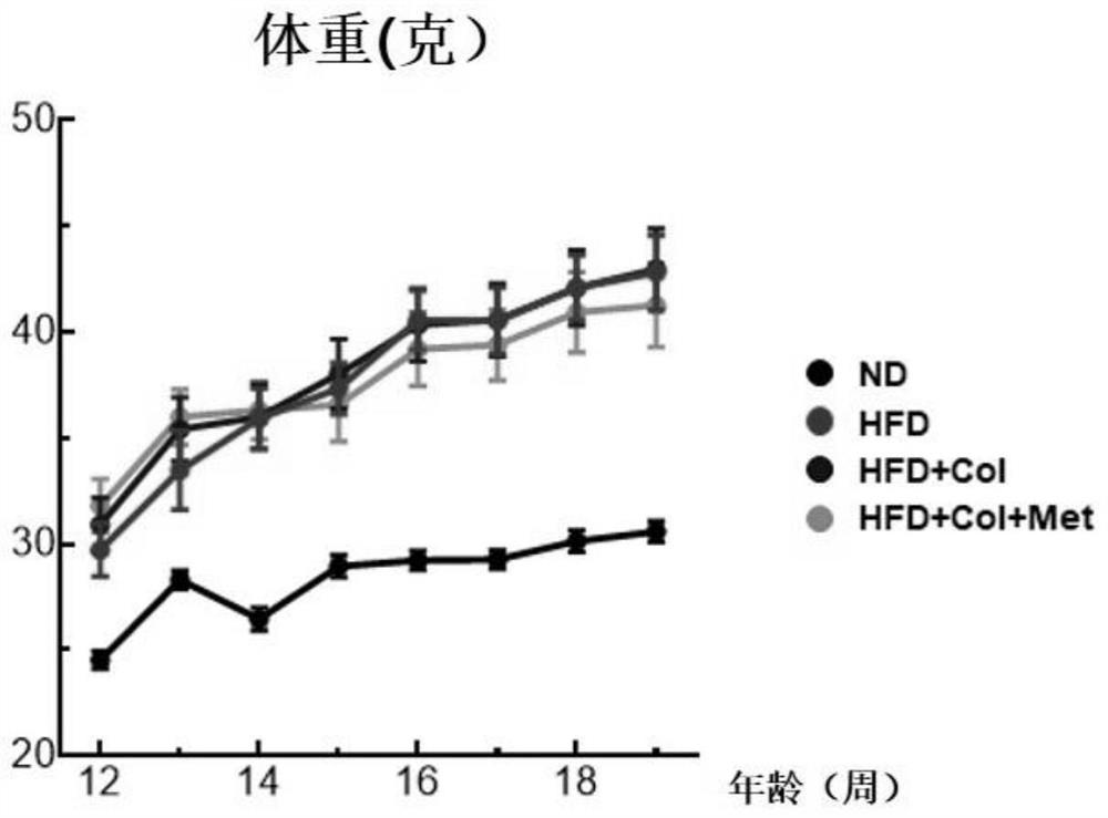 Colchicine combination formulation for treating liver diseases or enhancing curative effect