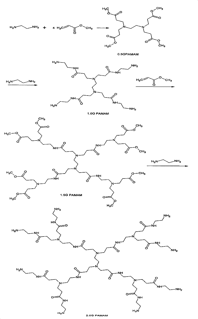 Dendriform cationic leather fixing agent and preparation method thereof