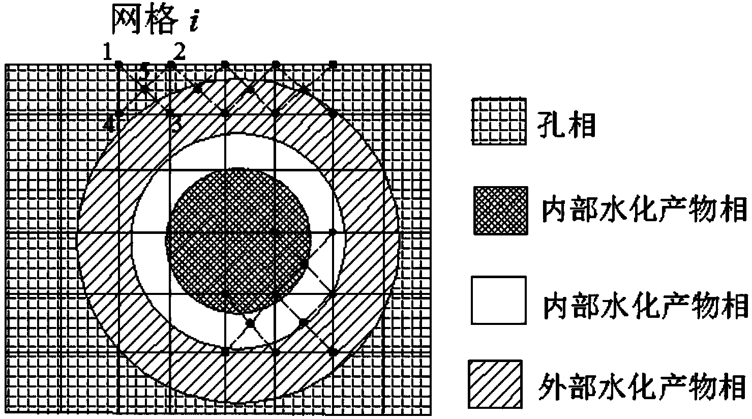 Construction method for ion diffusion model of cement based composite material