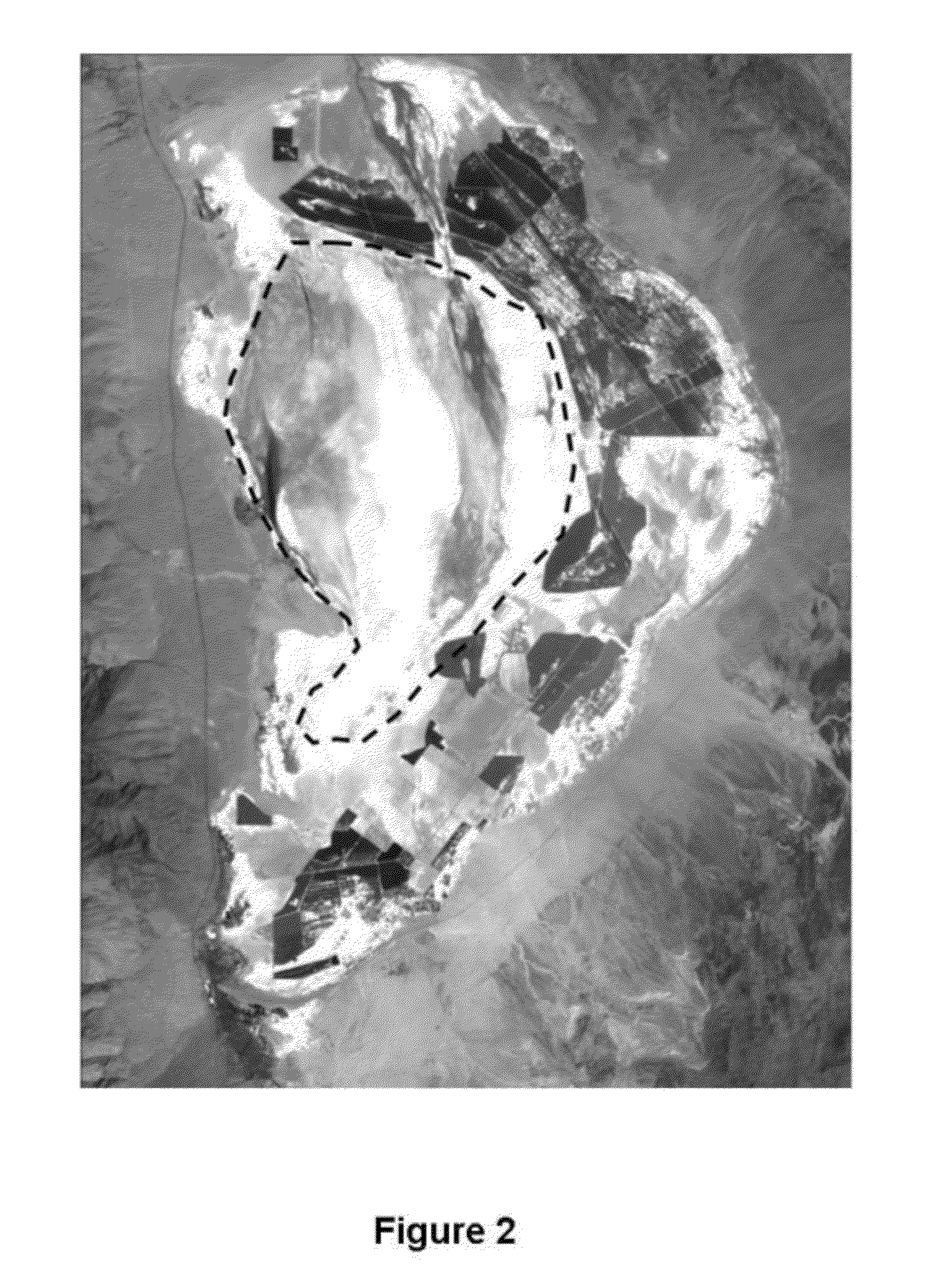 Method for dust control on saline dry lakebeds using minimal water resources