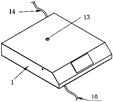 Integrated Electric Steam Cooker