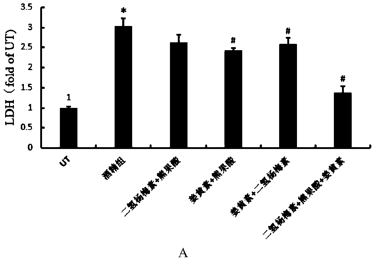 A compound composition capable of reducing the content of cardiac creatine kinase isozyme and its application