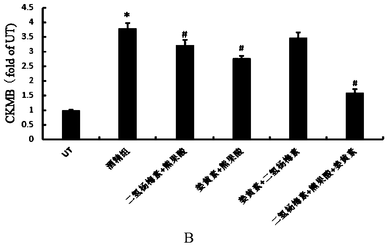 A compound composition capable of reducing the content of cardiac creatine kinase isozyme and its application