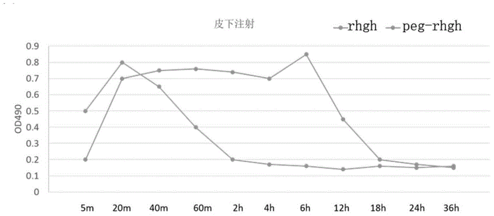 Preparation method of recombinant human growth hormone and preparation method of PEGylation modification substance