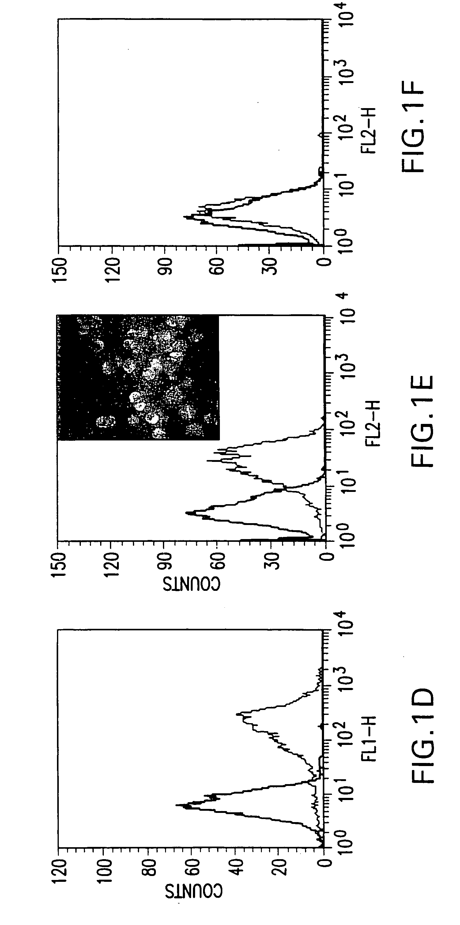 Tumor-targeted drug delivery systems and uses thereof