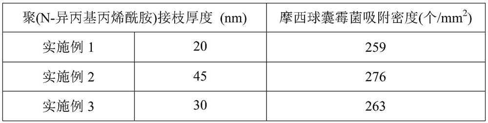 A kind of preparation method of solid bacterial agent for rice crops