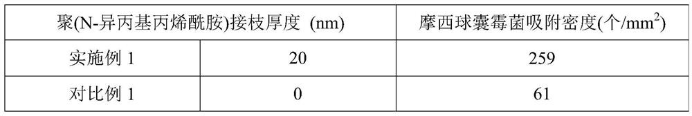 A kind of preparation method of solid bacterial agent for rice crops