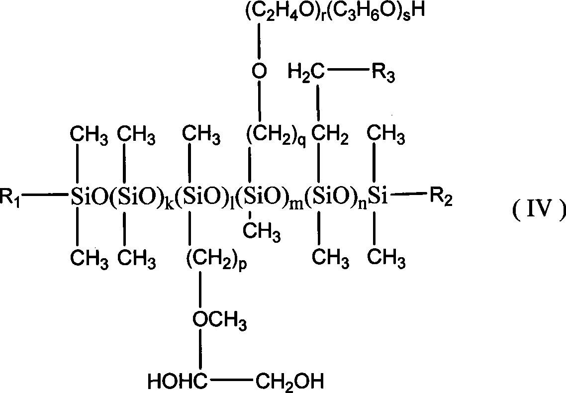 Shampoo composite for moderately removing dandruff