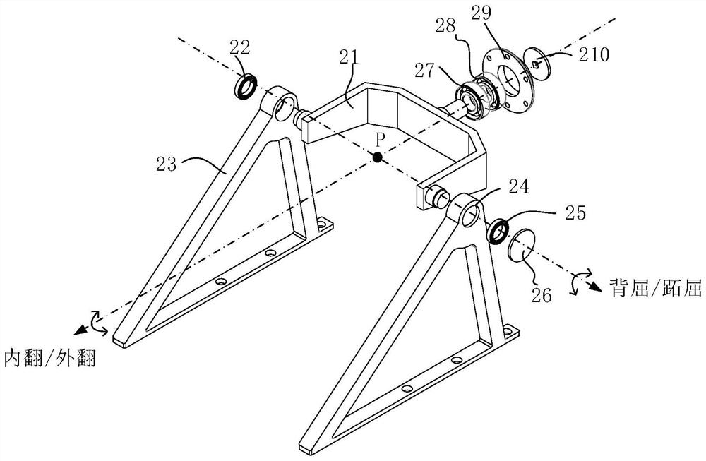 Exoskeleton robot ankle joint with double flexible driving branches
